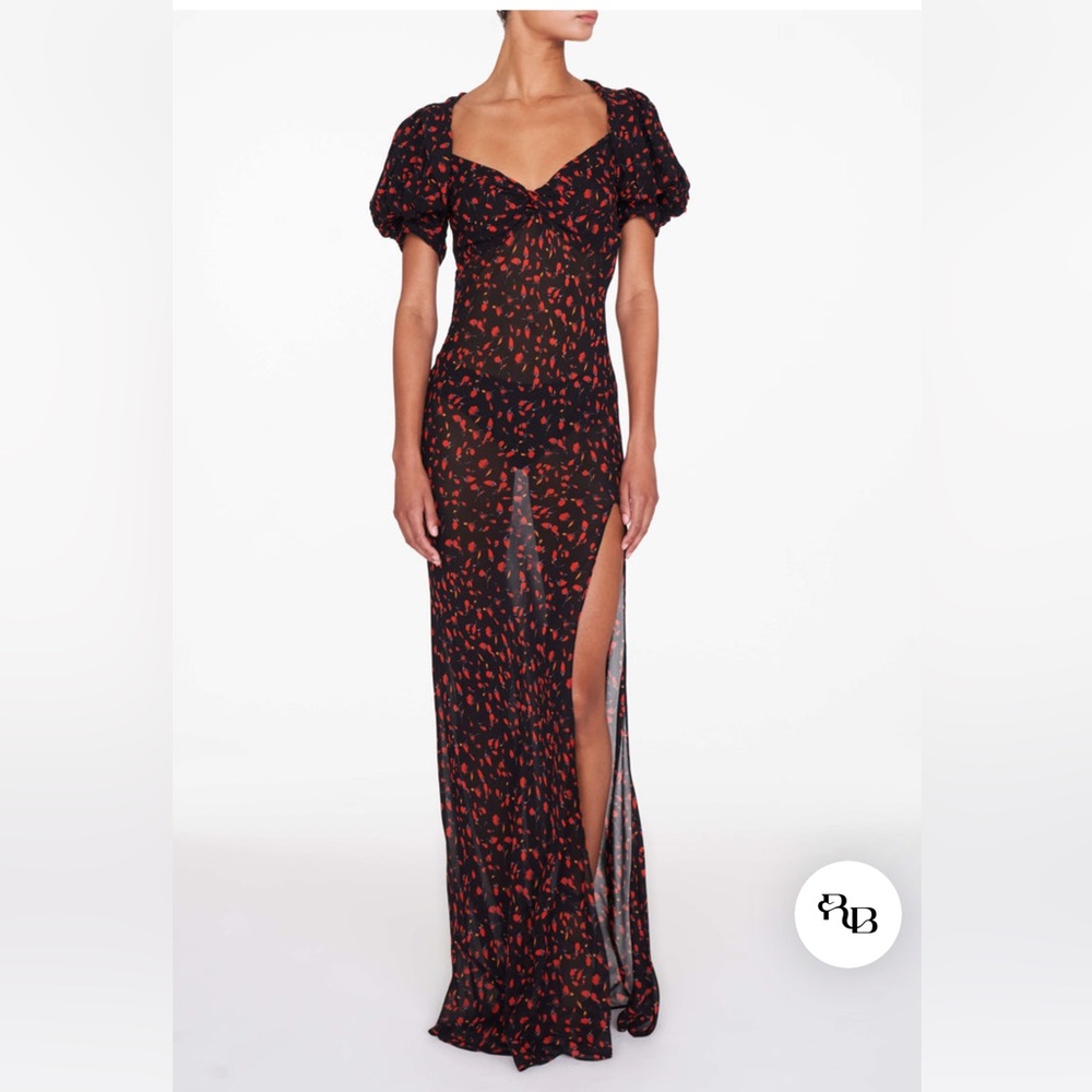 Gorgeous Rat and Boa Magnolia Sheer Gown Size Medium 🌹